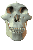 desc